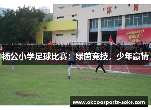 杨公小学足球比赛：绿茵竞技，少年豪情