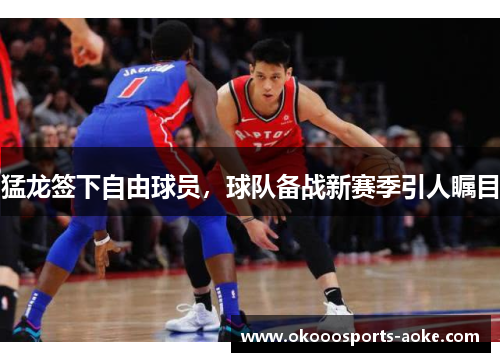 猛龙签下自由球员，球队备战新赛季引人瞩目