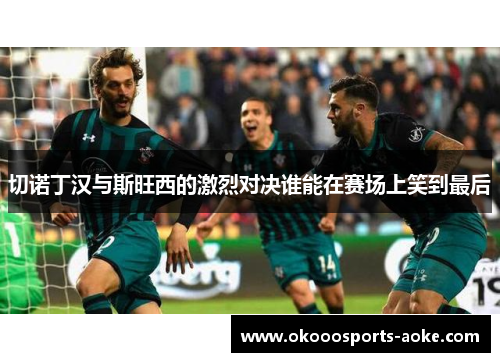 切诺丁汉与斯旺西的激烈对决谁能在赛场上笑到最后